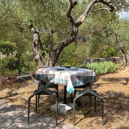 Sansevic Guest house Stari Grad (Hvar)